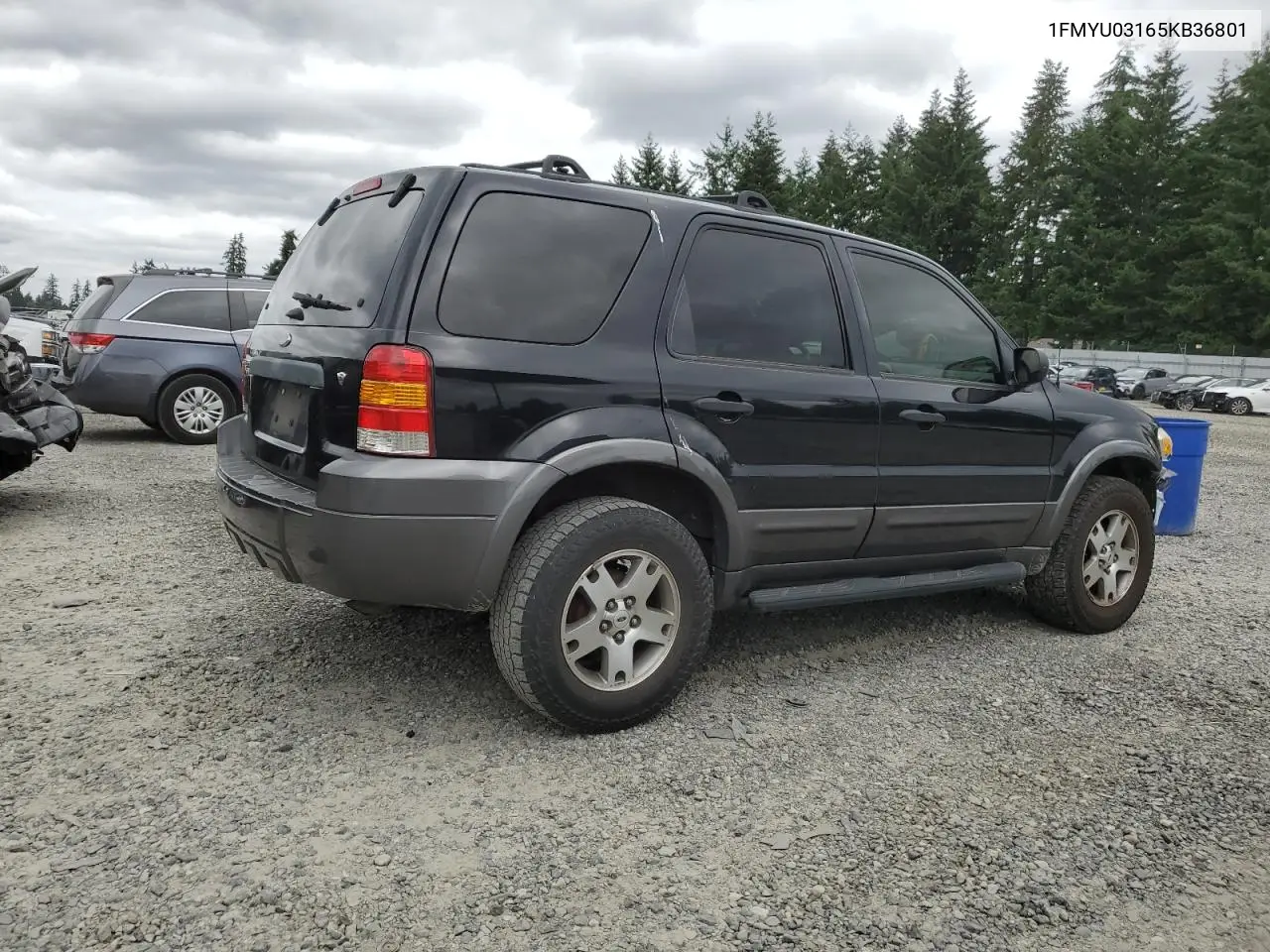 2005 Ford Escape Xlt VIN: 1FMYU03165KB36801 Lot: 61978705