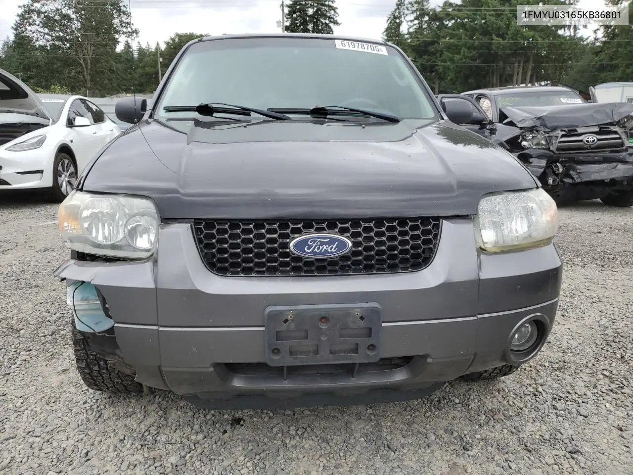 2005 Ford Escape Xlt VIN: 1FMYU03165KB36801 Lot: 61978705