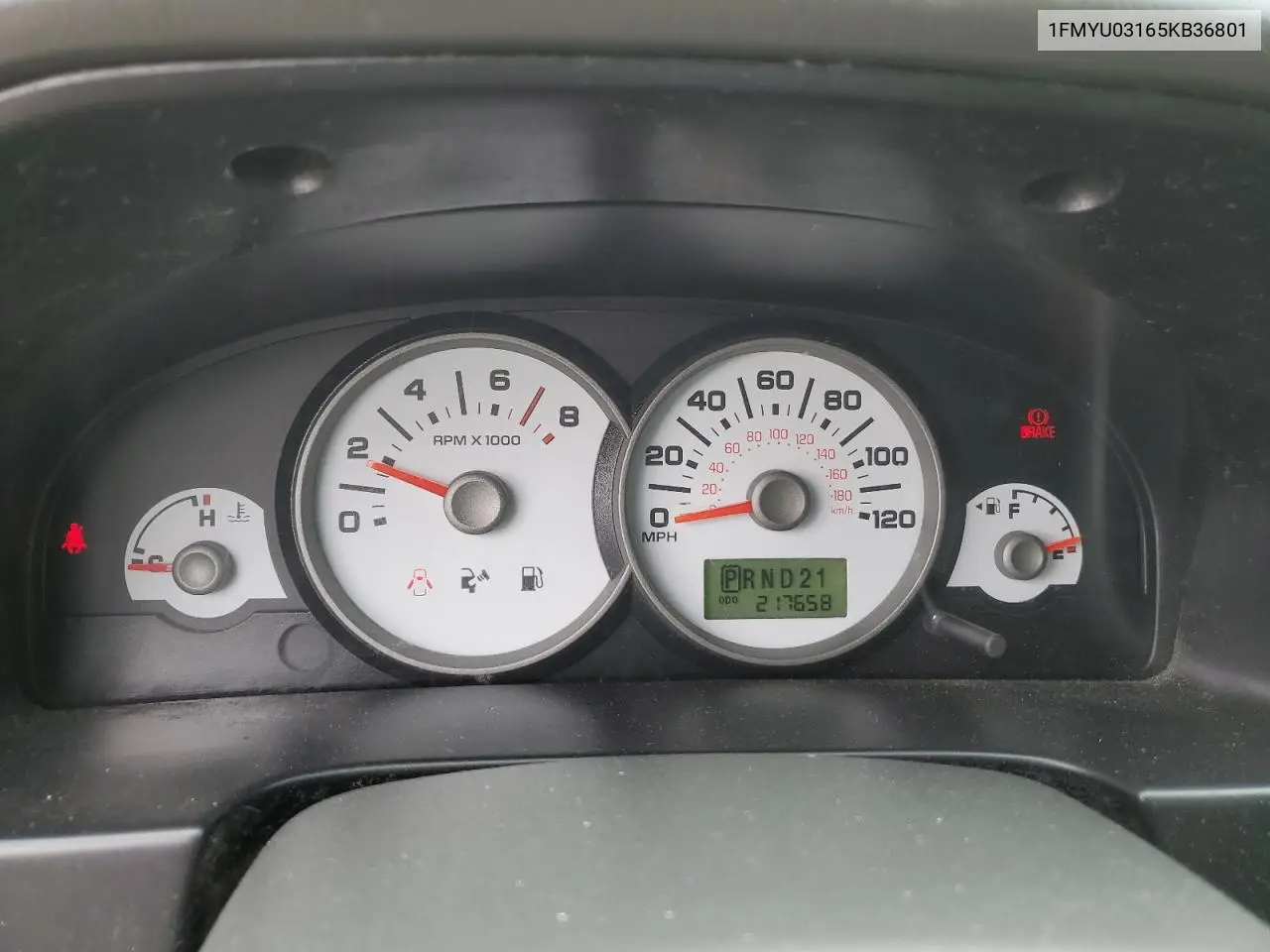 2005 Ford Escape Xlt VIN: 1FMYU03165KB36801 Lot: 61978705