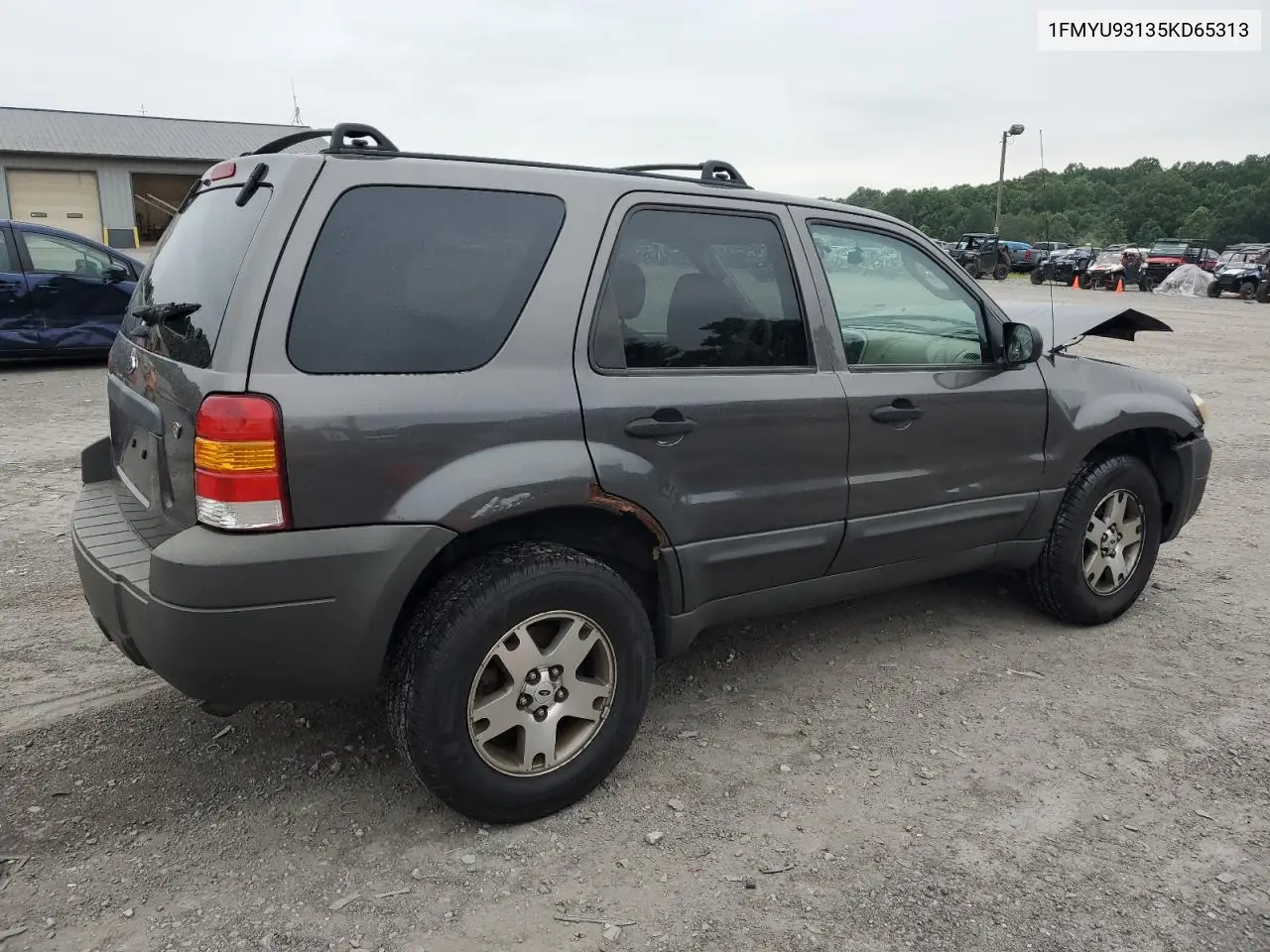 2005 Ford Escape Xlt VIN: 1FMYU93135KD65313 Lot: 62725385