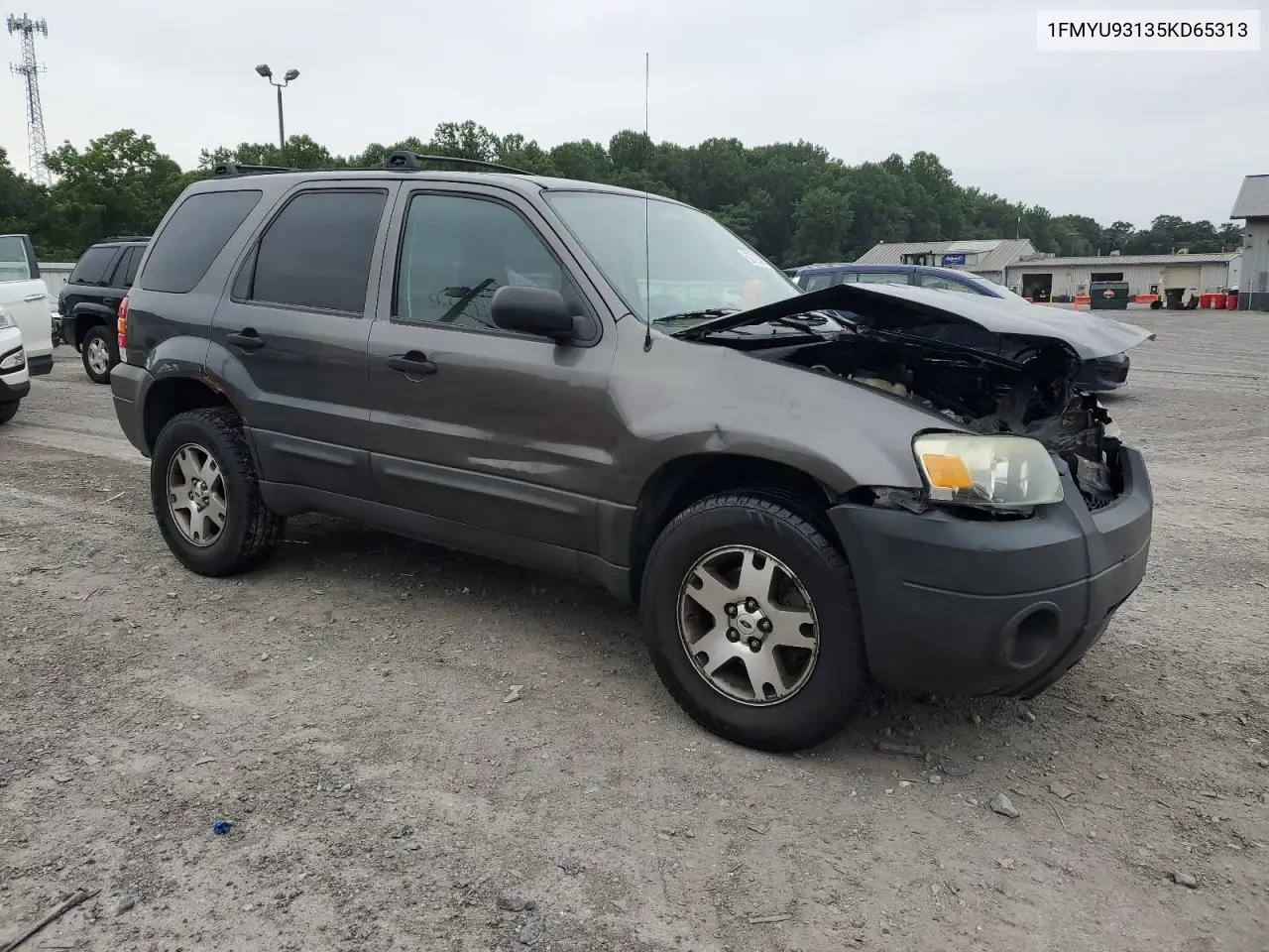 2005 Ford Escape Xlt VIN: 1FMYU93135KD65313 Lot: 62725385