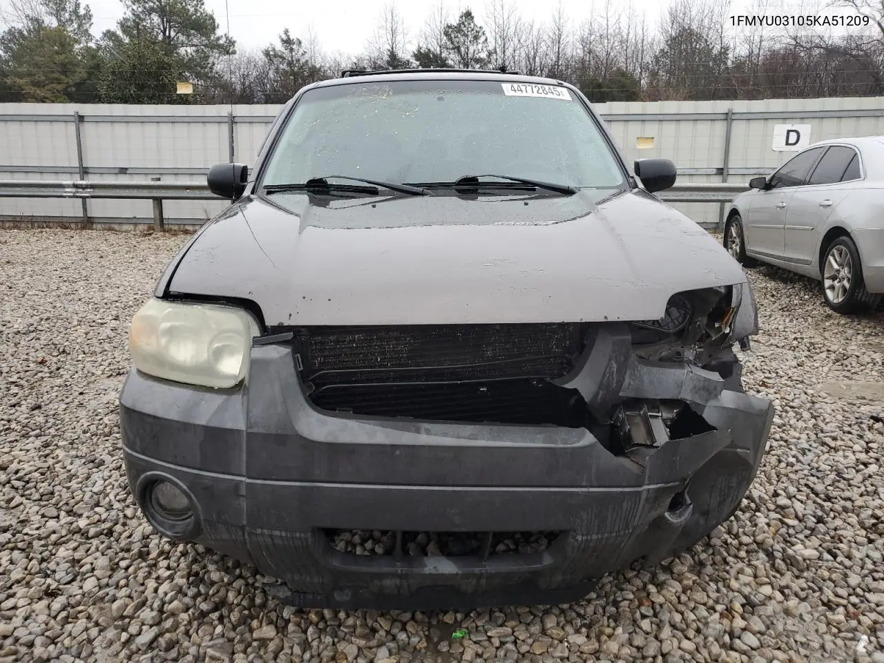 2005 Ford Escape Xlt VIN: 1FMYU03105KA51209 Lot: 62913755
