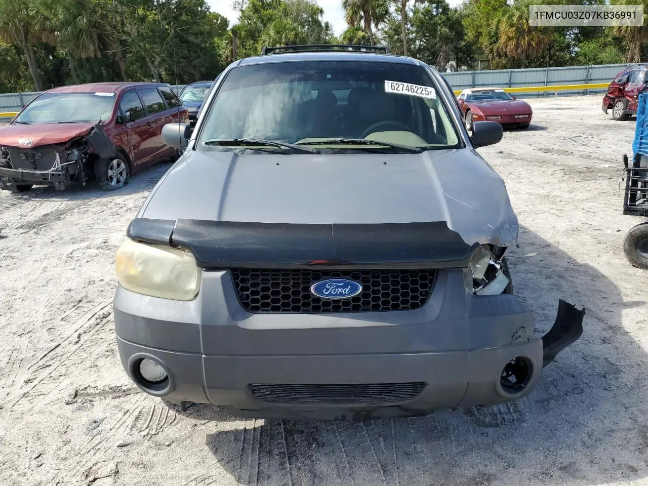 2007 Ford Escape Xlt VIN: 1FMCU03Z07KB36991 Lot: 62746225