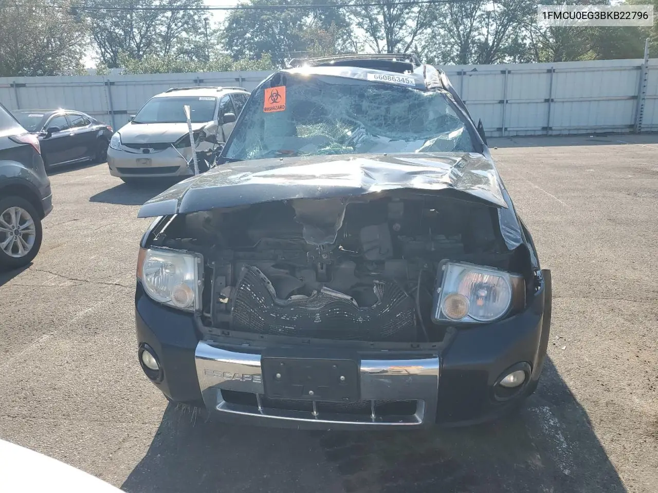 2011 Ford Escape Limited VIN: 1FMCU0EG3BKB22796 Lot: 66086345