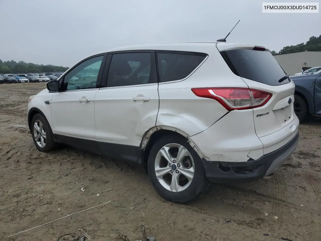 2013 Ford Escape Se VIN: 1FMCU0GX3DUD14725 Lot: 56669315
