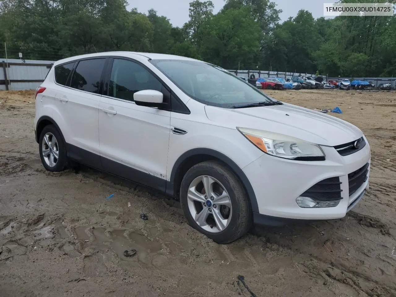2013 Ford Escape Se VIN: 1FMCU0GX3DUD14725 Lot: 56669315