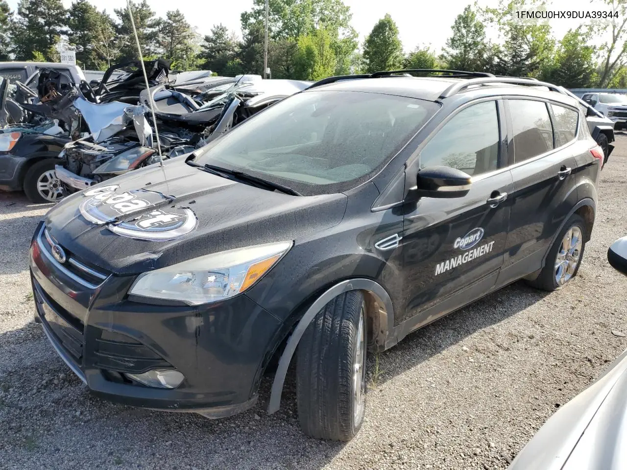 2013 Ford Escape Sel VIN: 1FMCU0HX9DUA39344 Lot: 57087805