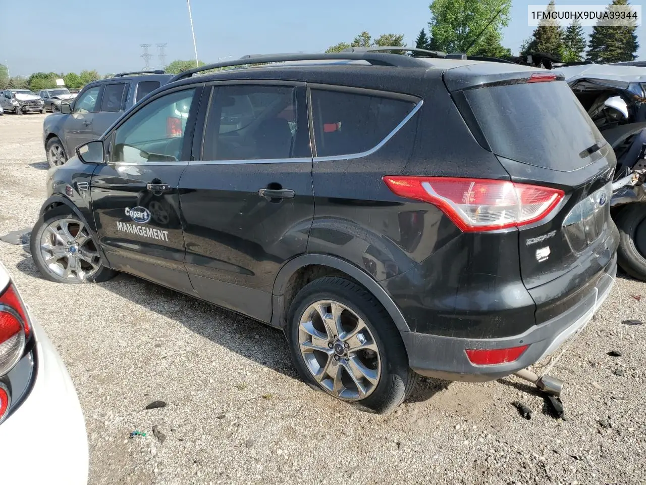 2013 Ford Escape Sel VIN: 1FMCU0HX9DUA39344 Lot: 57087805