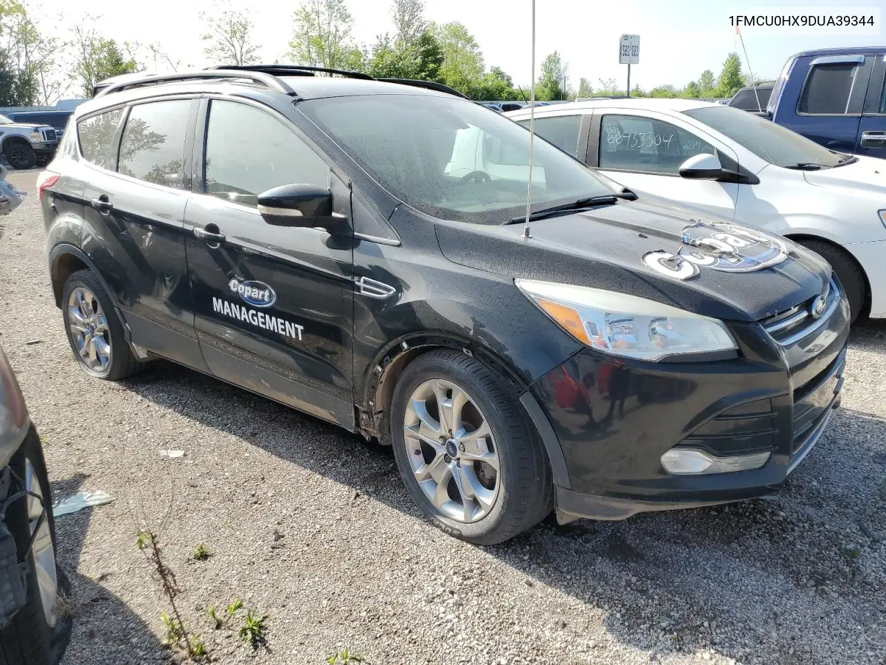 2013 Ford Escape Sel VIN: 1FMCU0HX9DUA39344 Lot: 57087805