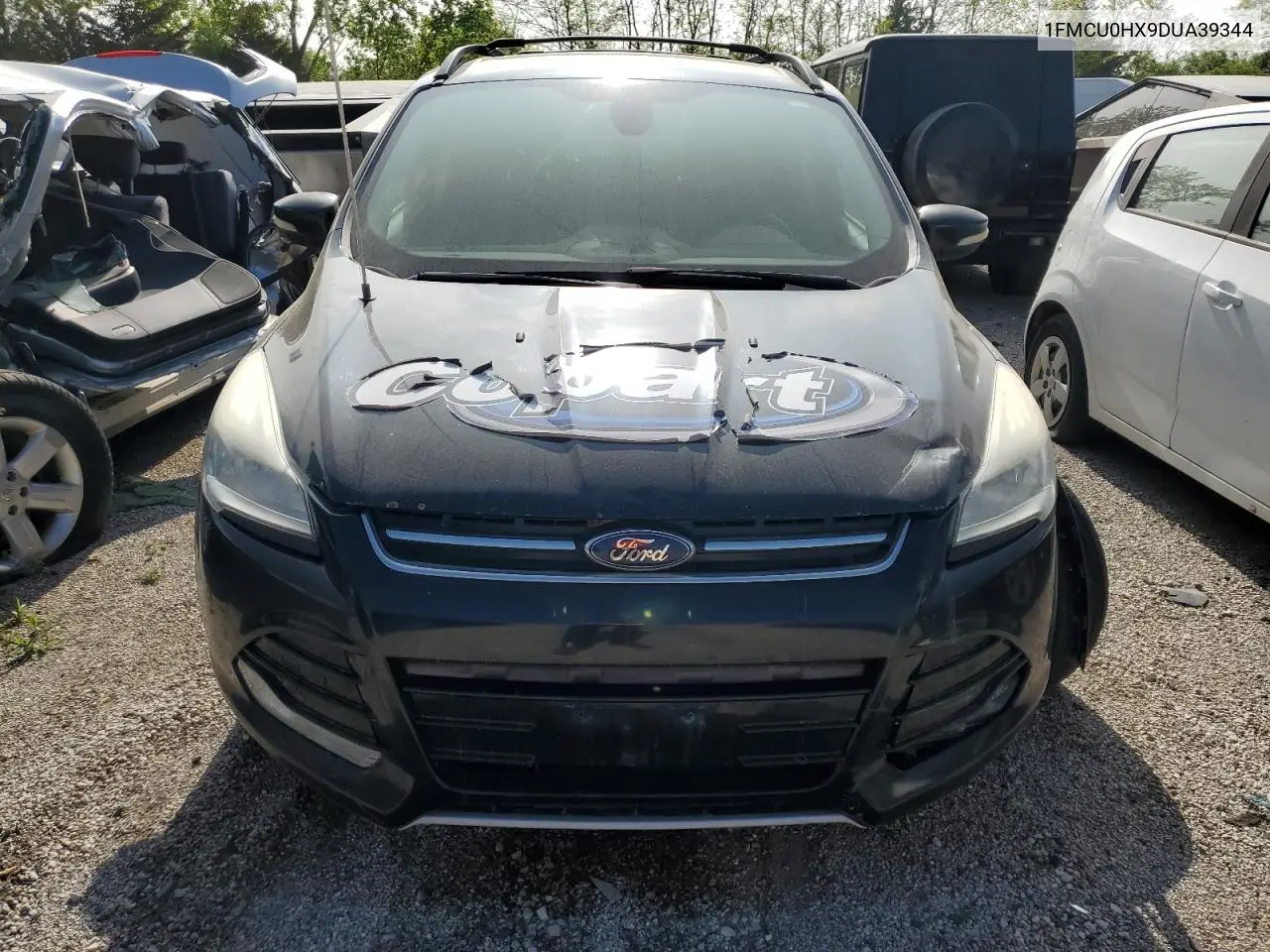 2013 Ford Escape Sel VIN: 1FMCU0HX9DUA39344 Lot: 57087805