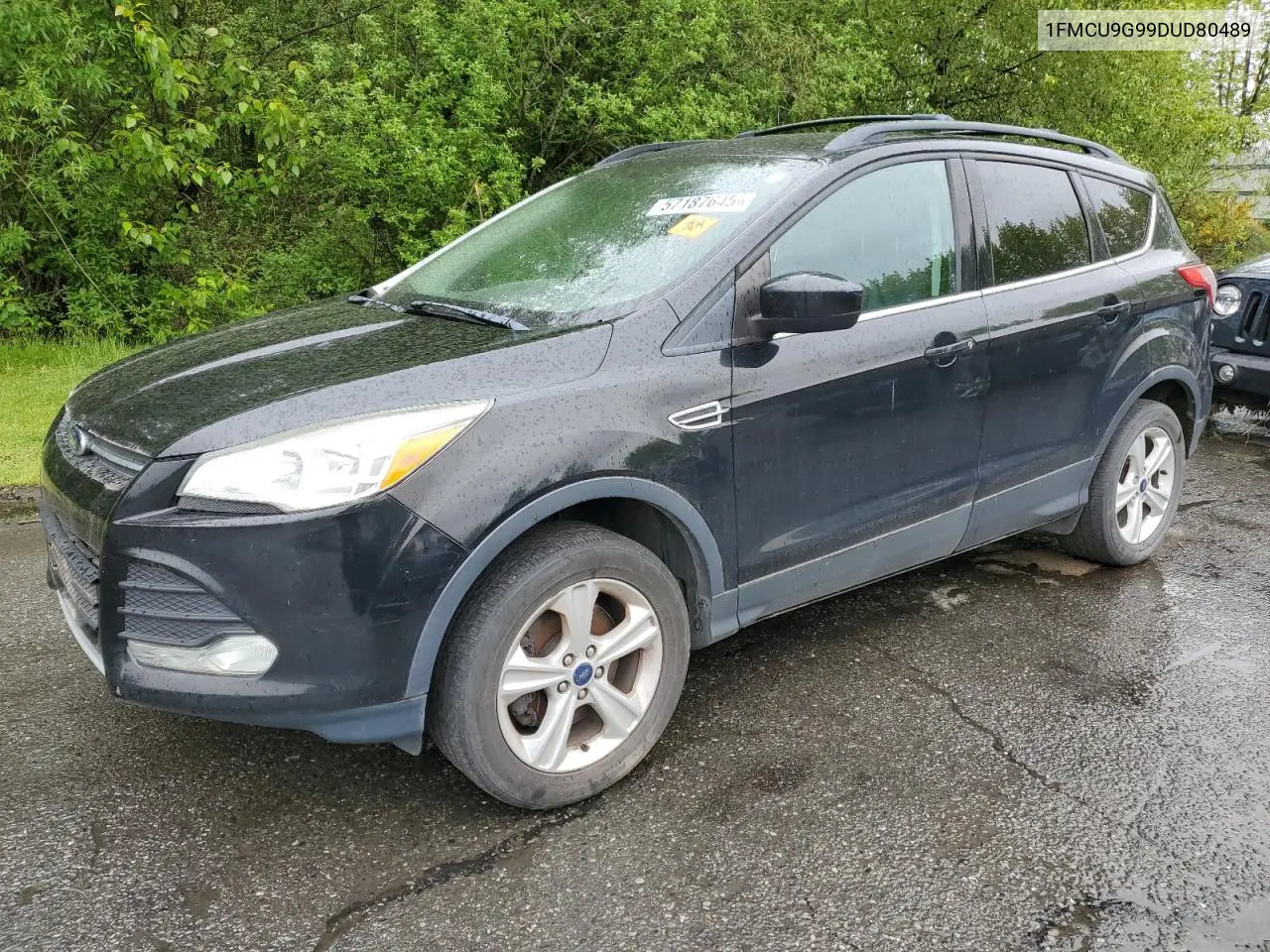2013 Ford Escape Se VIN: 1FMCU9G99DUD80489 Lot: 57187645