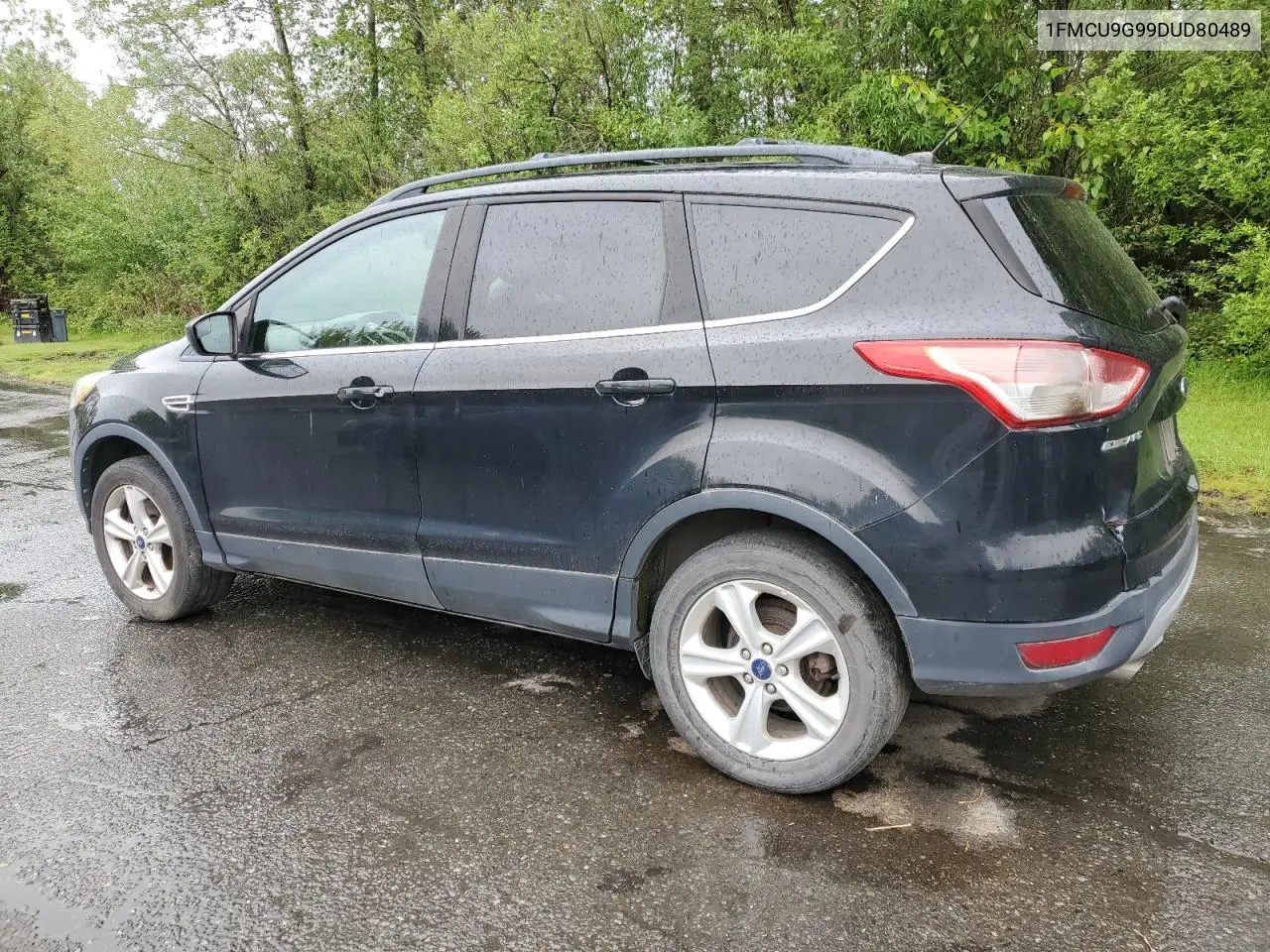 2013 Ford Escape Se VIN: 1FMCU9G99DUD80489 Lot: 57187645