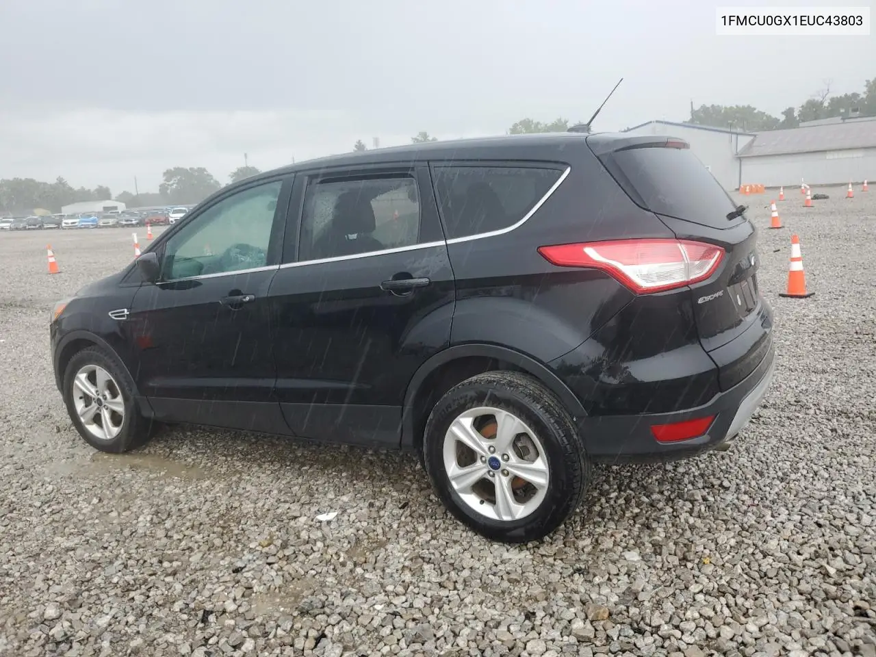 2014 Ford Escape Se VIN: 1FMCU0GX1EUC43803 Lot: 60541605