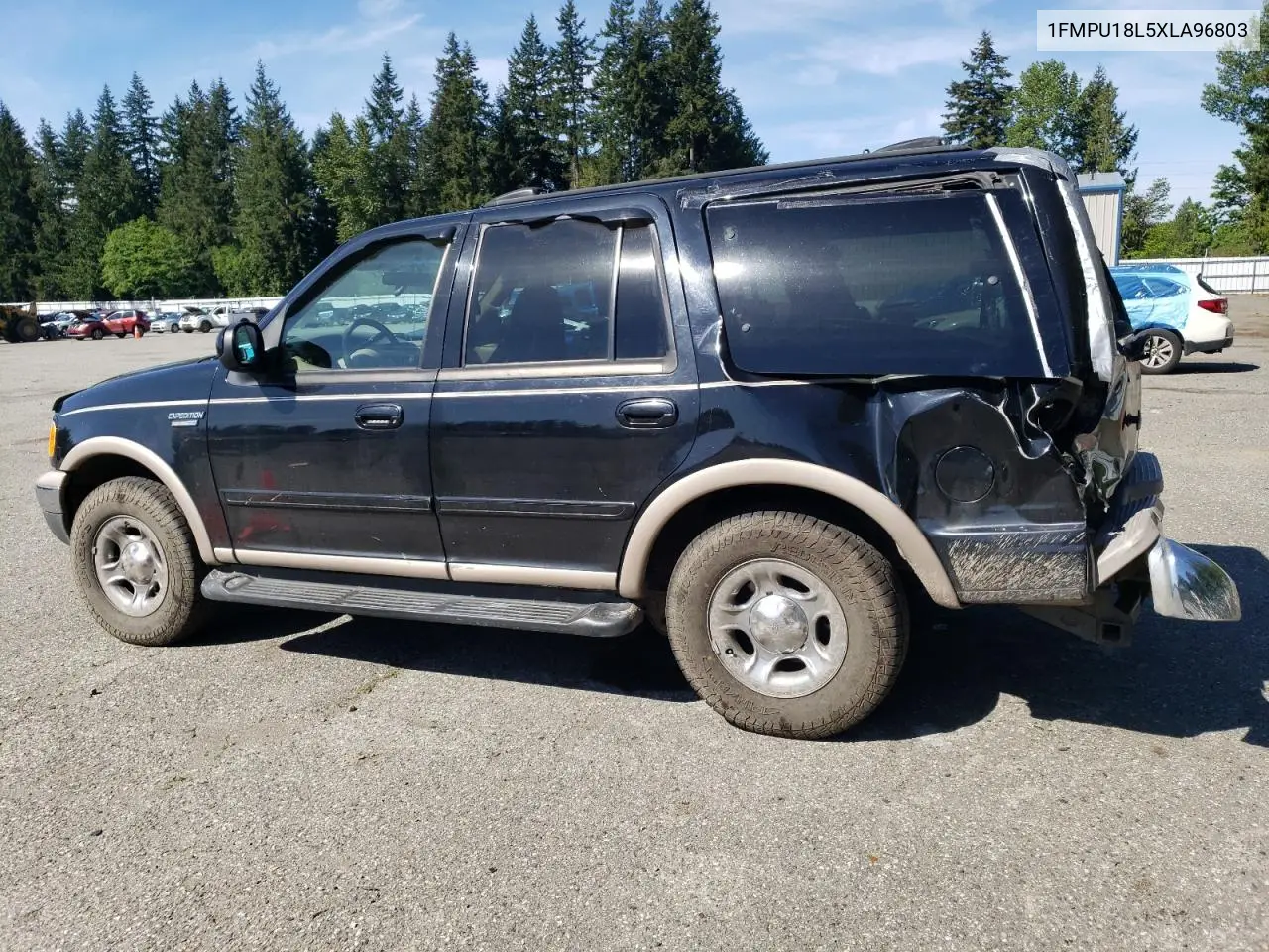 1999 Ford Expedition VIN: 1FMPU18L5XLA96803 Lot: 55224105