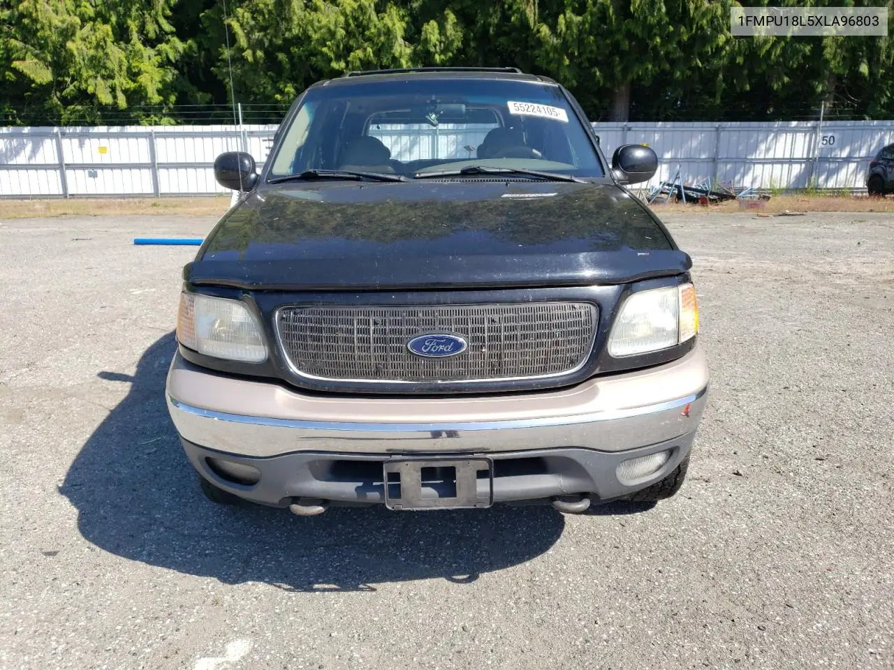 1999 Ford Expedition VIN: 1FMPU18L5XLA96803 Lot: 55224105