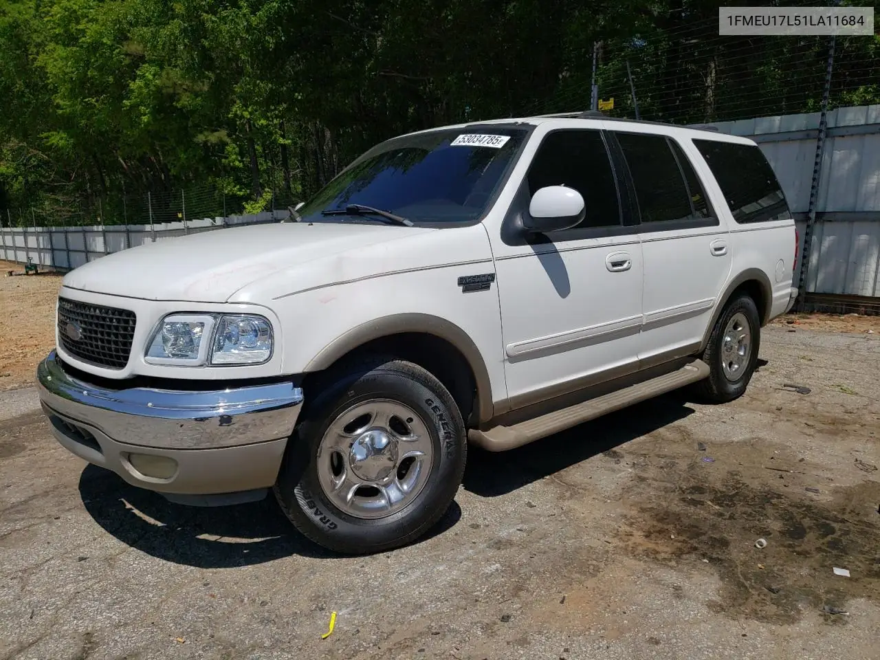 2001 Ford Expedition Eddie Bauer VIN: 1FMEU17L51LA11684 Lot: 53034785