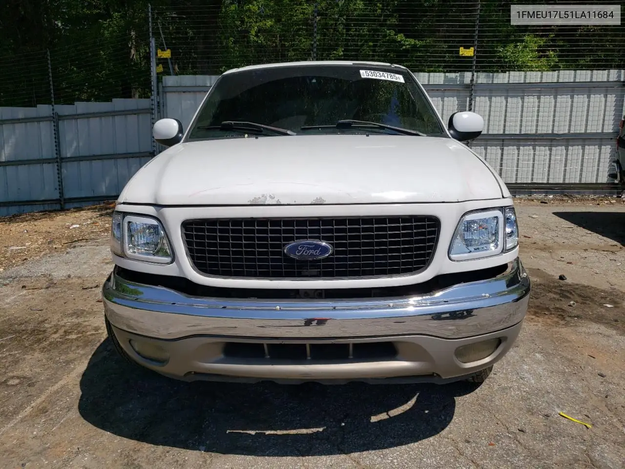 2001 Ford Expedition Eddie Bauer VIN: 1FMEU17L51LA11684 Lot: 53034785