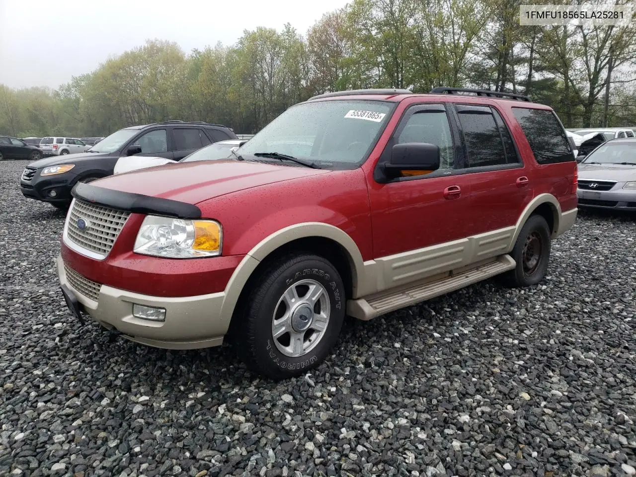 2005 Ford Expedition Eddie Bauer VIN: 1FMFU18565LA25281 Lot: 55381865