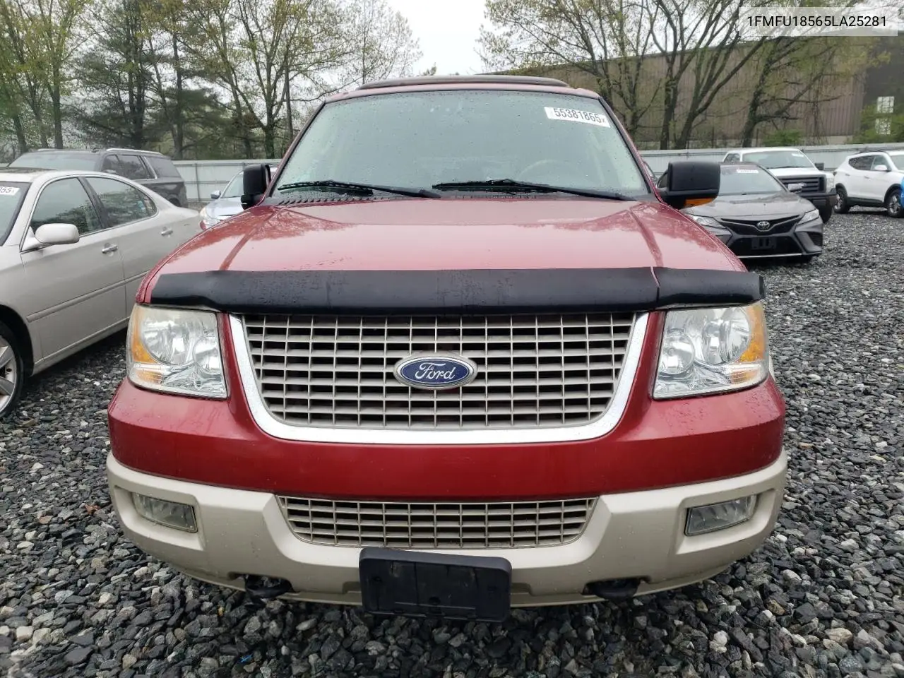 2005 Ford Expedition Eddie Bauer VIN: 1FMFU18565LA25281 Lot: 55381865