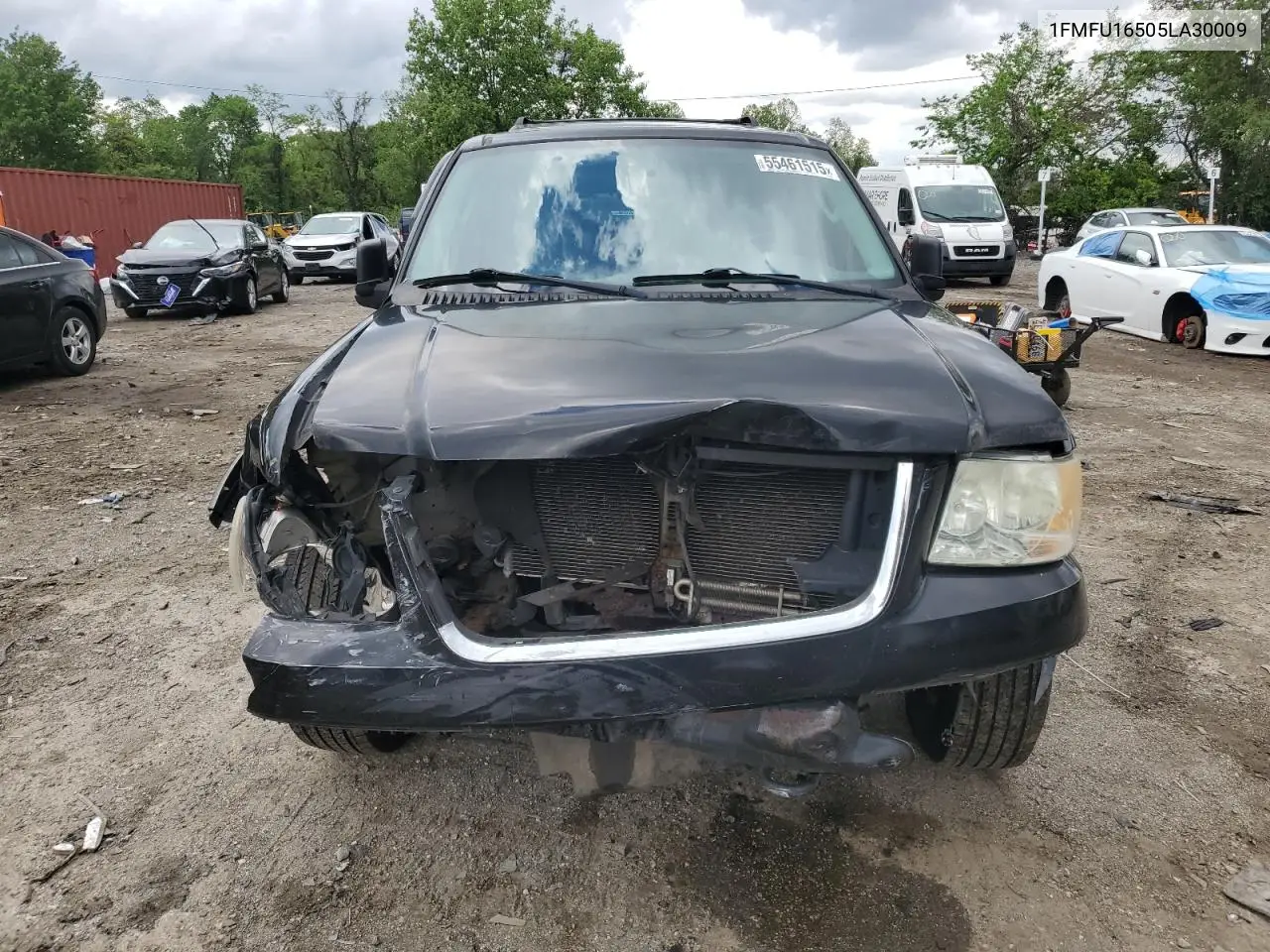 2005 Ford Expedition Xlt VIN: 1FMFU16505LA30009 Lot: 55461515