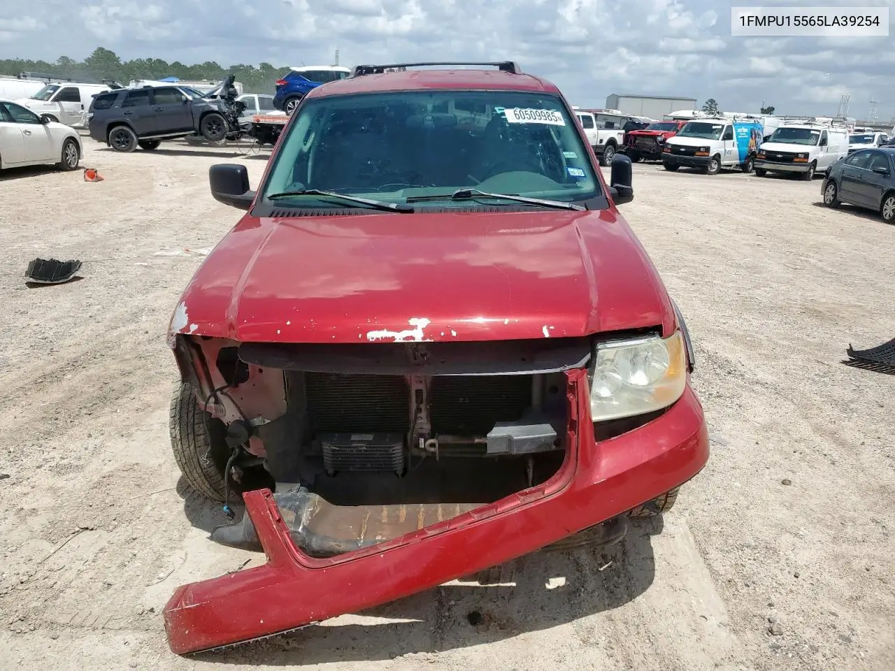 2005 Ford Expedition Xlt VIN: 1FMPU15565LA39254 Lot: 60509985