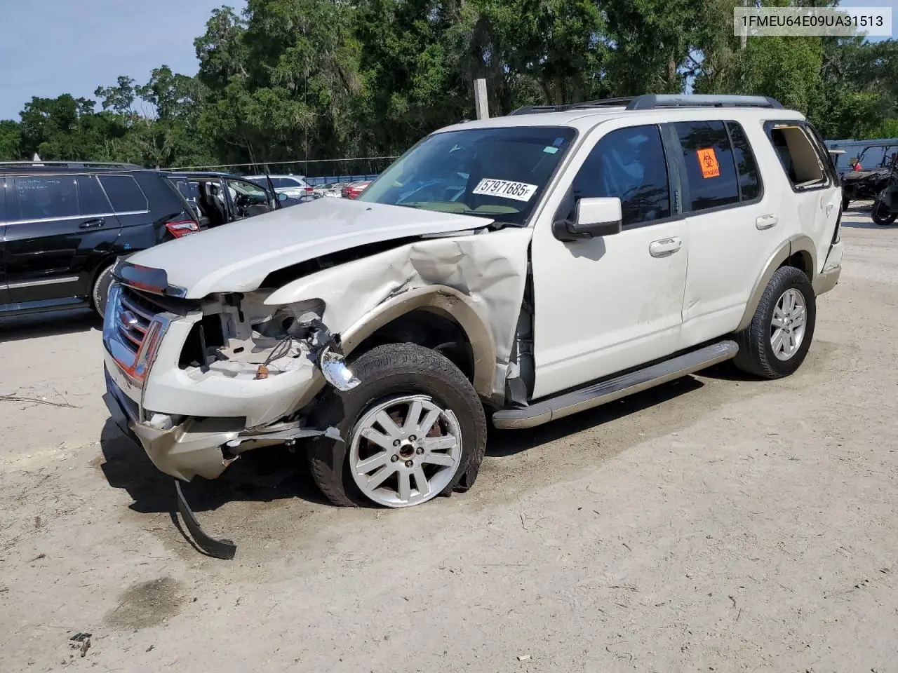 2009 Ford Explorer Eddie Bauer VIN: 1FMEU64E09UA31513 Lot: 57971685