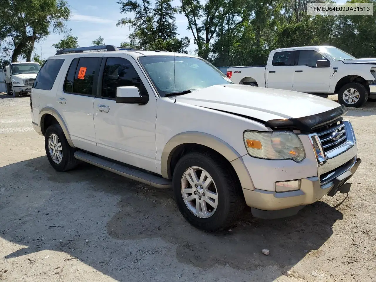 2009 Ford Explorer Eddie Bauer VIN: 1FMEU64E09UA31513 Lot: 57971685