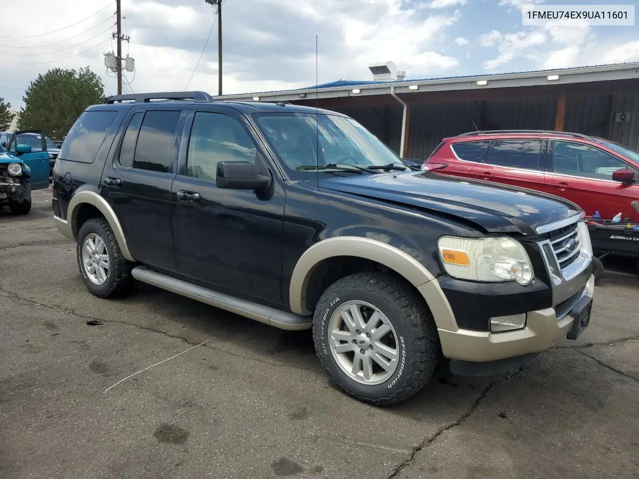 2009 Ford Explorer Eddie Bauer VIN: 1FMEU74EX9UA11601 Lot: 60415585
