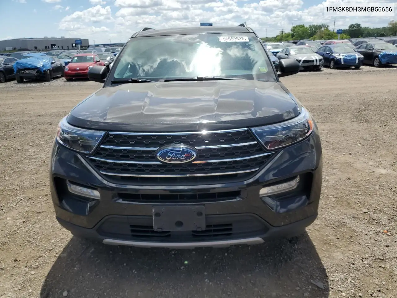2021 Ford Explorer Xlt VIN: 1FMSK8DH3MGB56656 Lot: 56699525