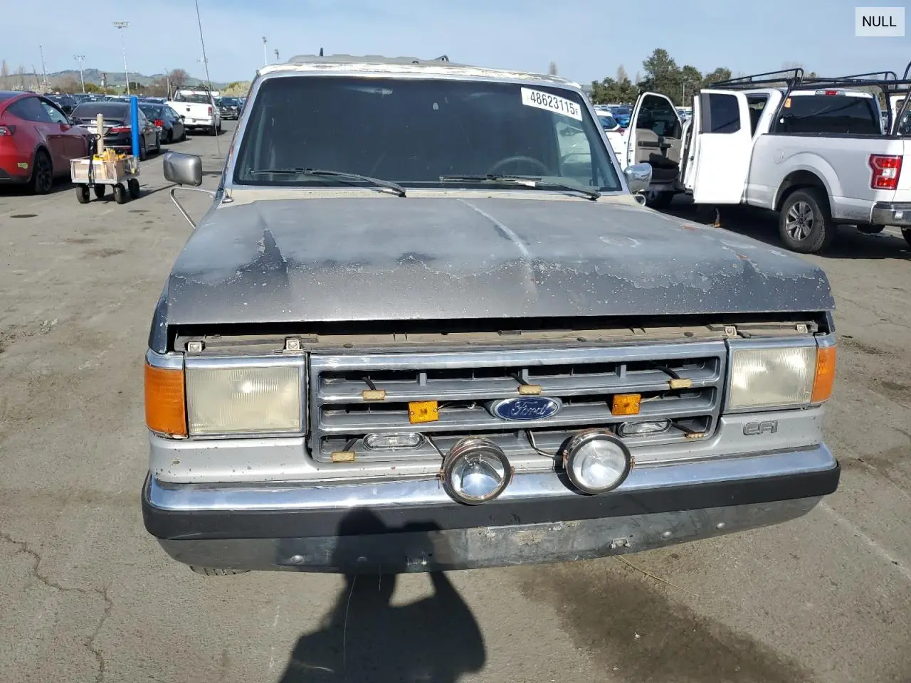 1988 Ford F150 VIN: 1FTDF15NXJPA09632 Lot: 48623115