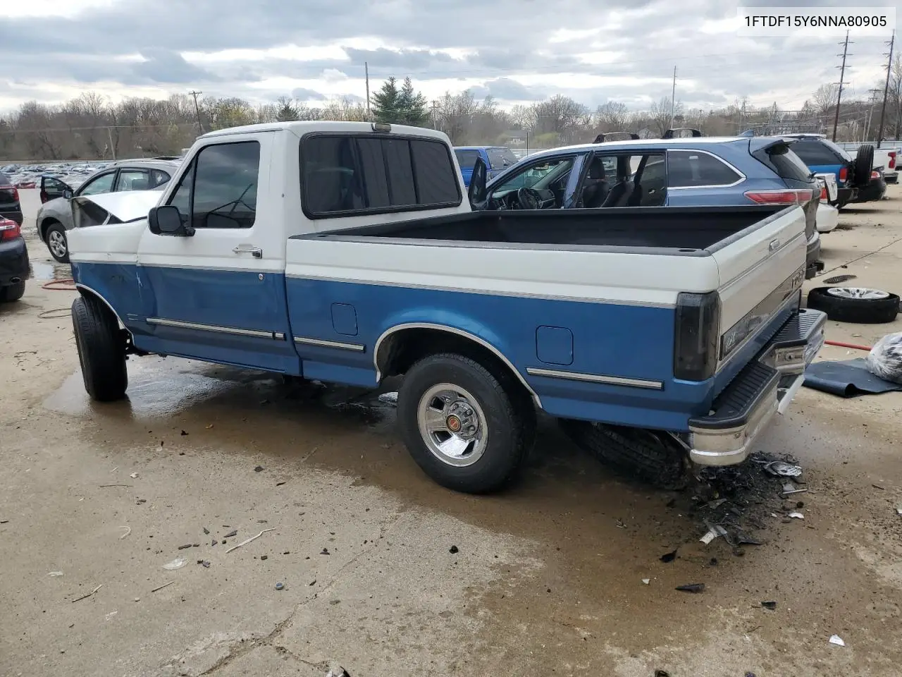 1992 Ford F150 VIN: 1FTDF15Y6NNA80905 Lot: 49114775
