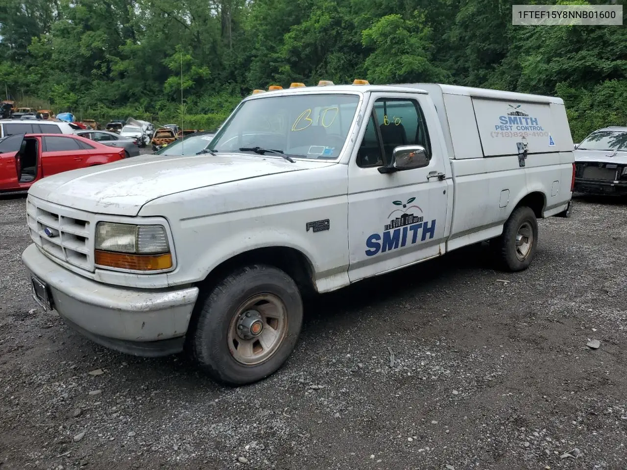 1992 Ford F150 VIN: 1FTEF15Y8NNB01600 Lot: 62353725