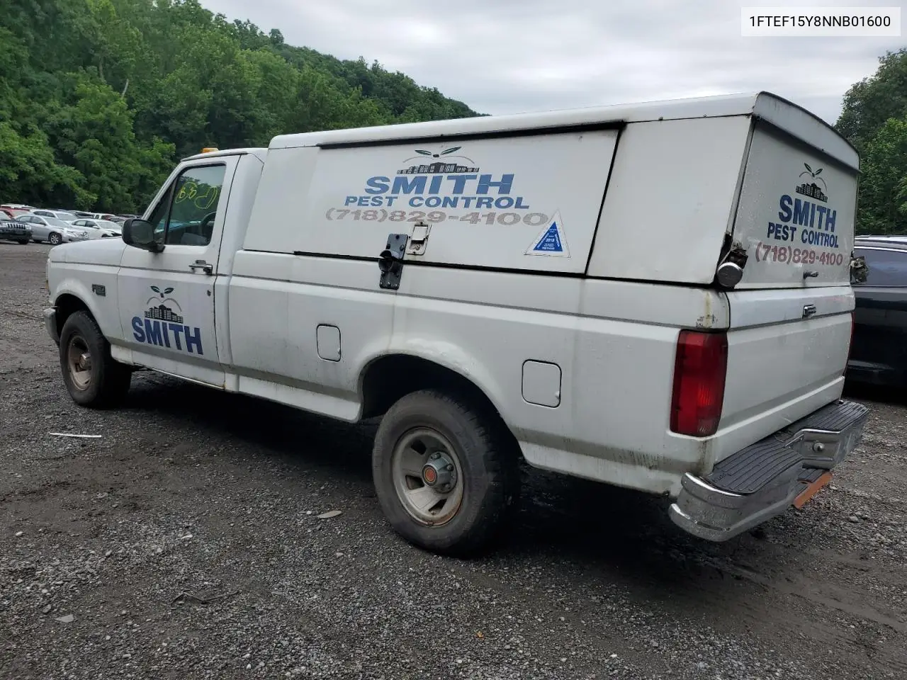 1992 Ford F150 VIN: 1FTEF15Y8NNB01600 Lot: 62353725