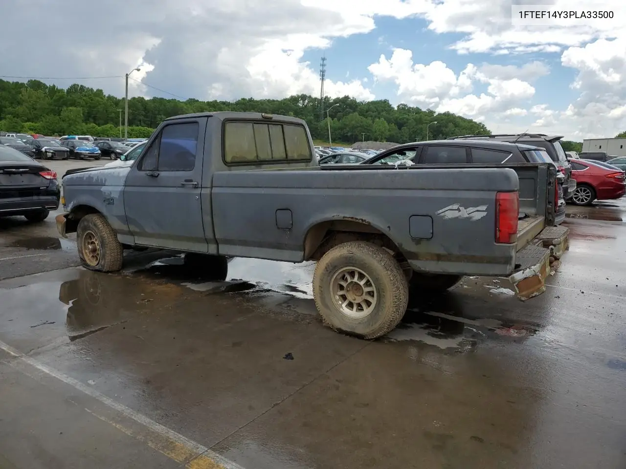 1993 Ford F150 VIN: 1FTEF14Y3PLA33500 Lot: 56246345
