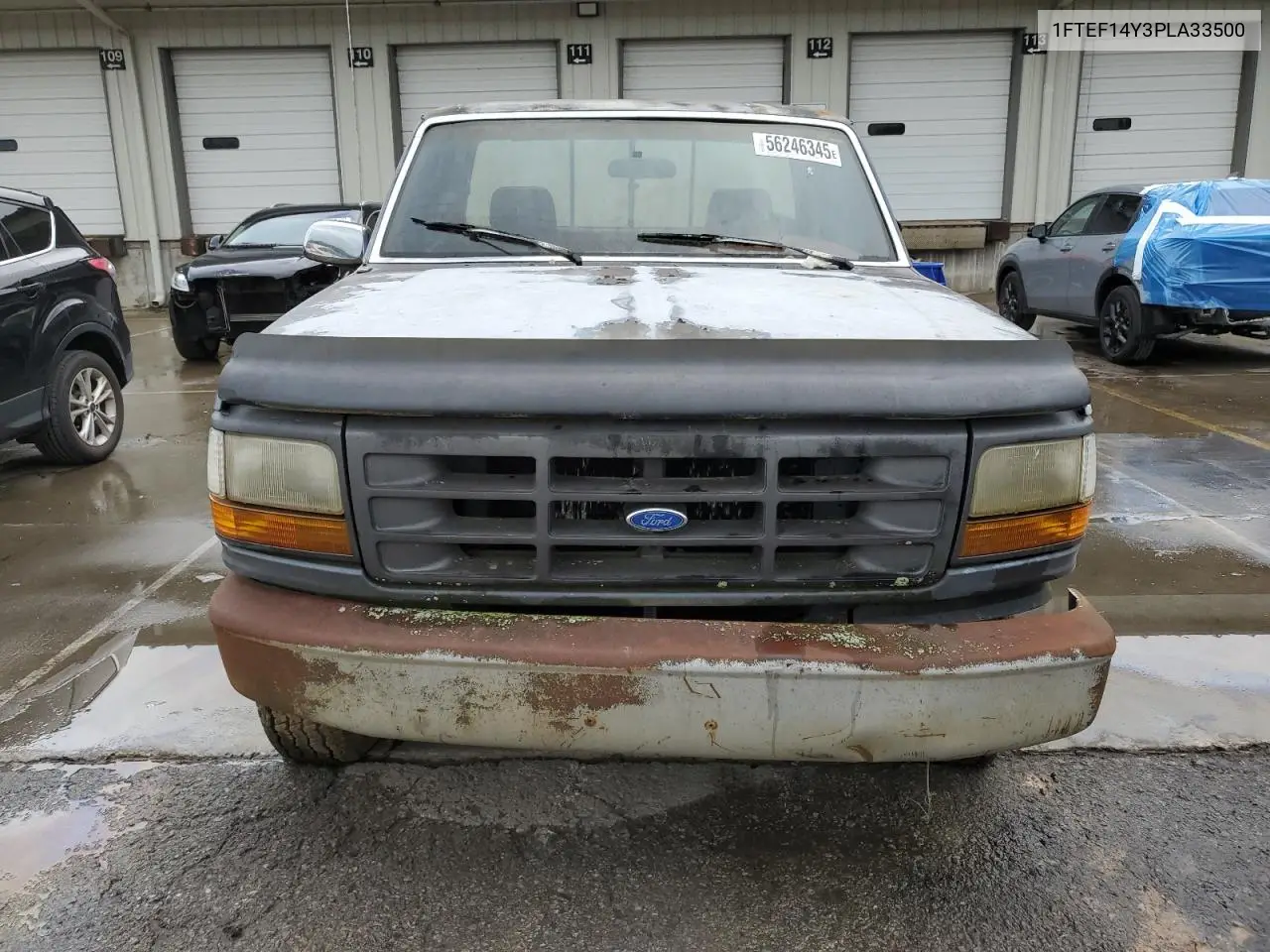 1993 Ford F150 VIN: 1FTEF14Y3PLA33500 Lot: 56246345