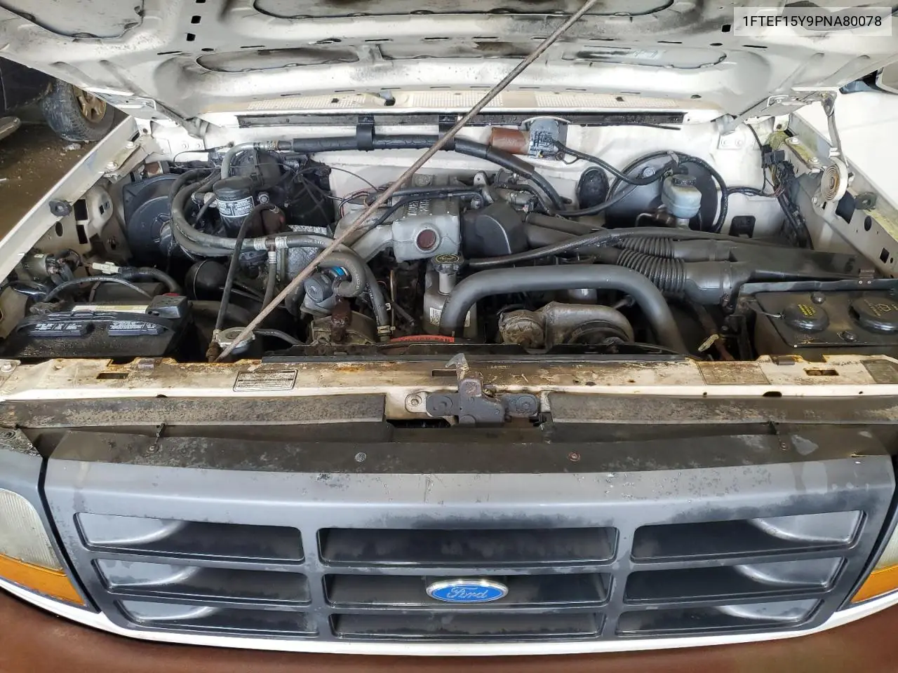 1993 Ford F150 VIN: 1FTEF15Y9PNA80078 Lot: 62963105