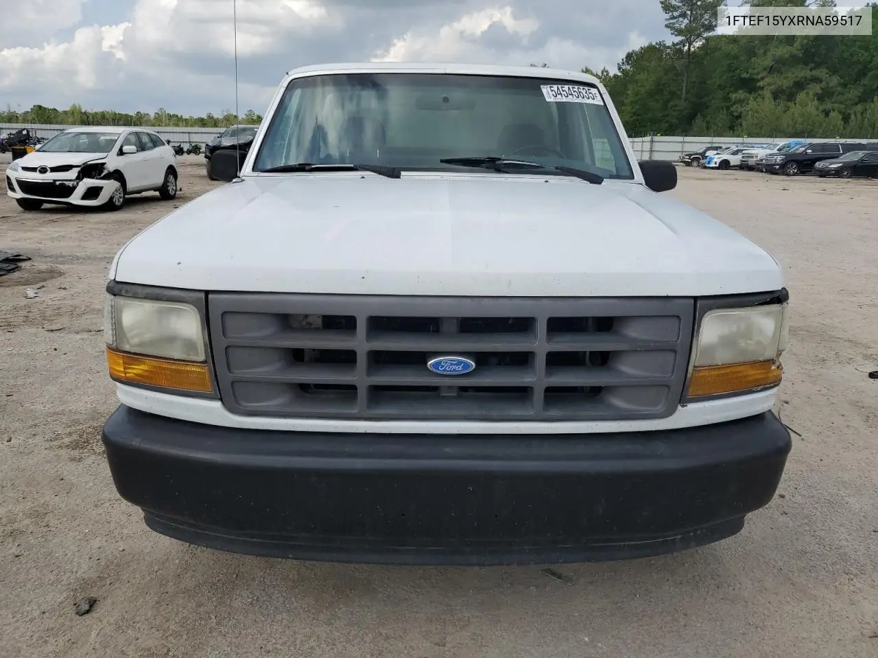 1994 Ford F150 VIN: 1FTEF15YXRNA59517 Lot: 54545635