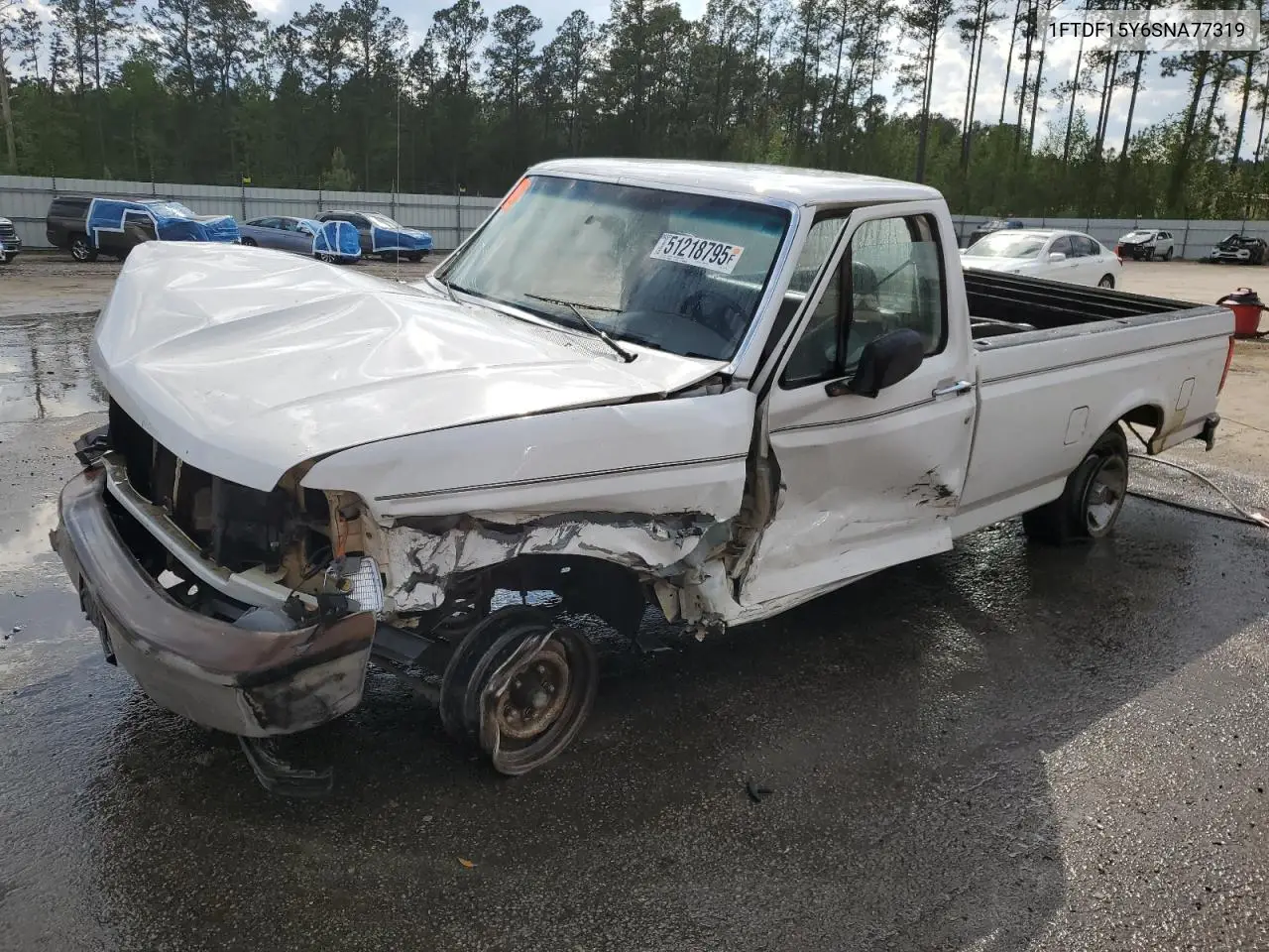 1995 Ford F150 VIN: 1FTDF15Y6SNA77319 Lot: 51218795