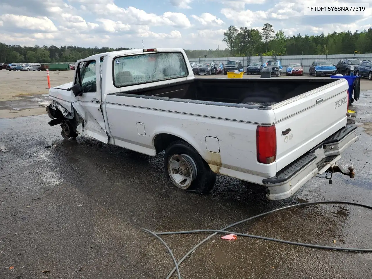 1995 Ford F150 VIN: 1FTDF15Y6SNA77319 Lot: 51218795