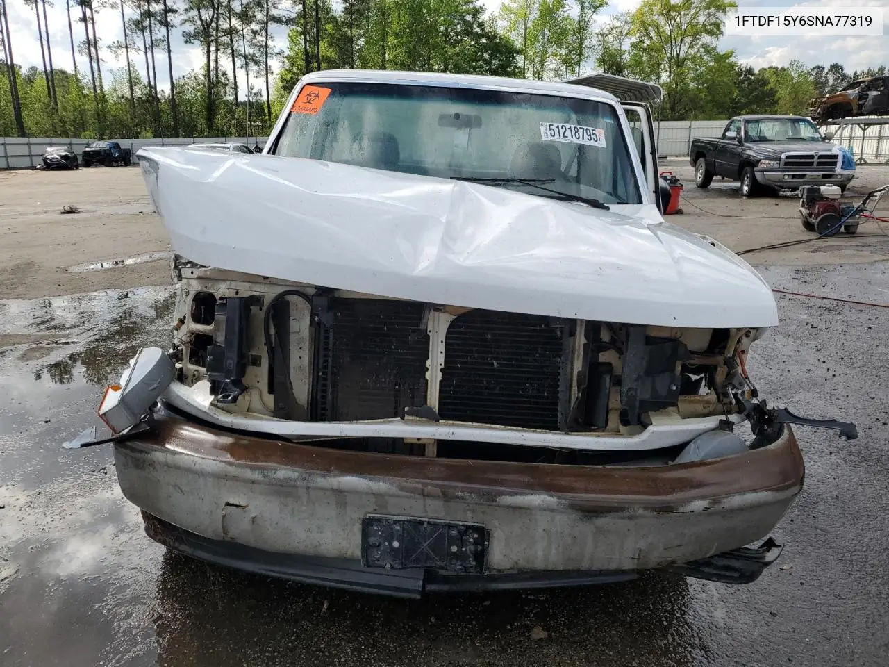1995 Ford F150 VIN: 1FTDF15Y6SNA77319 Lot: 51218795
