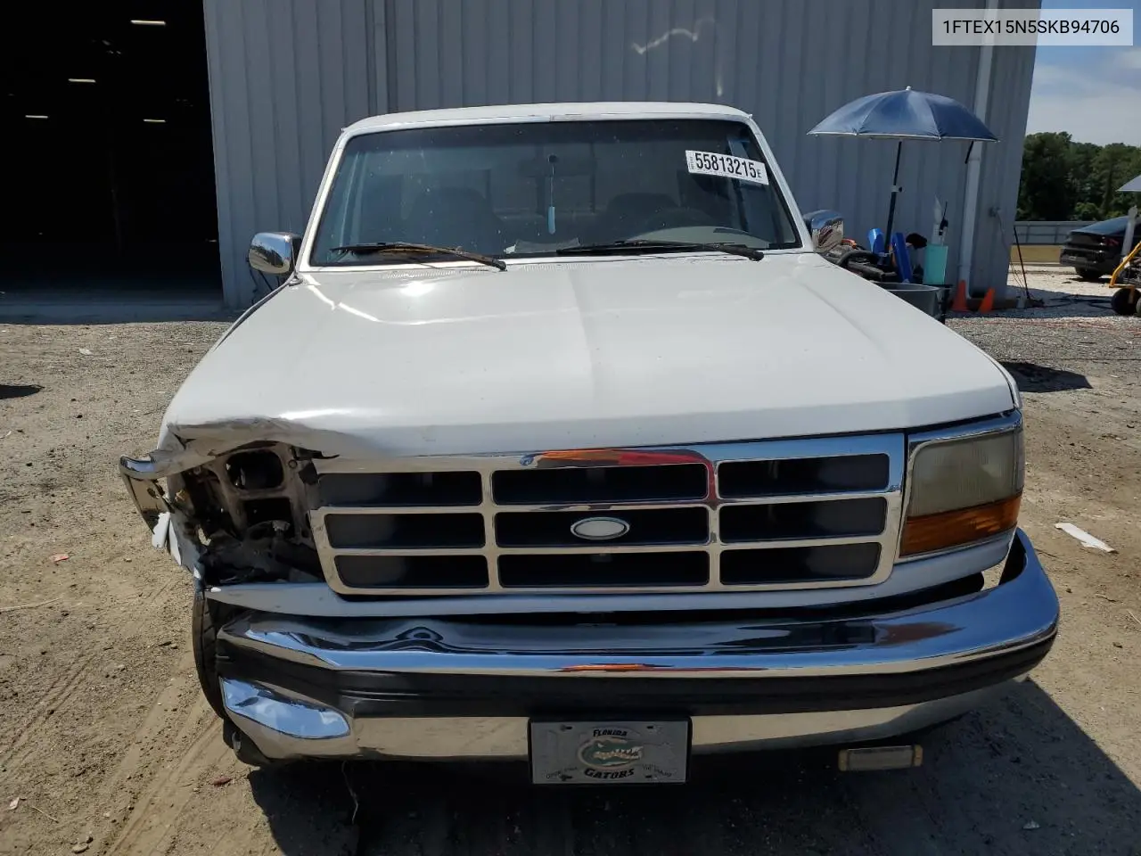1995 Ford F150 VIN: 1FTEX15N5SKB94706 Lot: 55813215