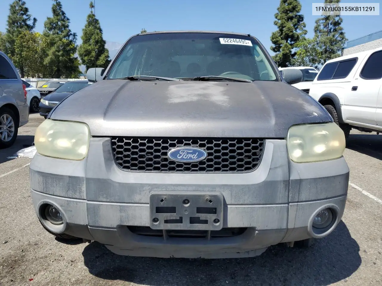 2005 Ford Escape Xlt VIN: 1FMYU03155KB11291 Lot: 52246495