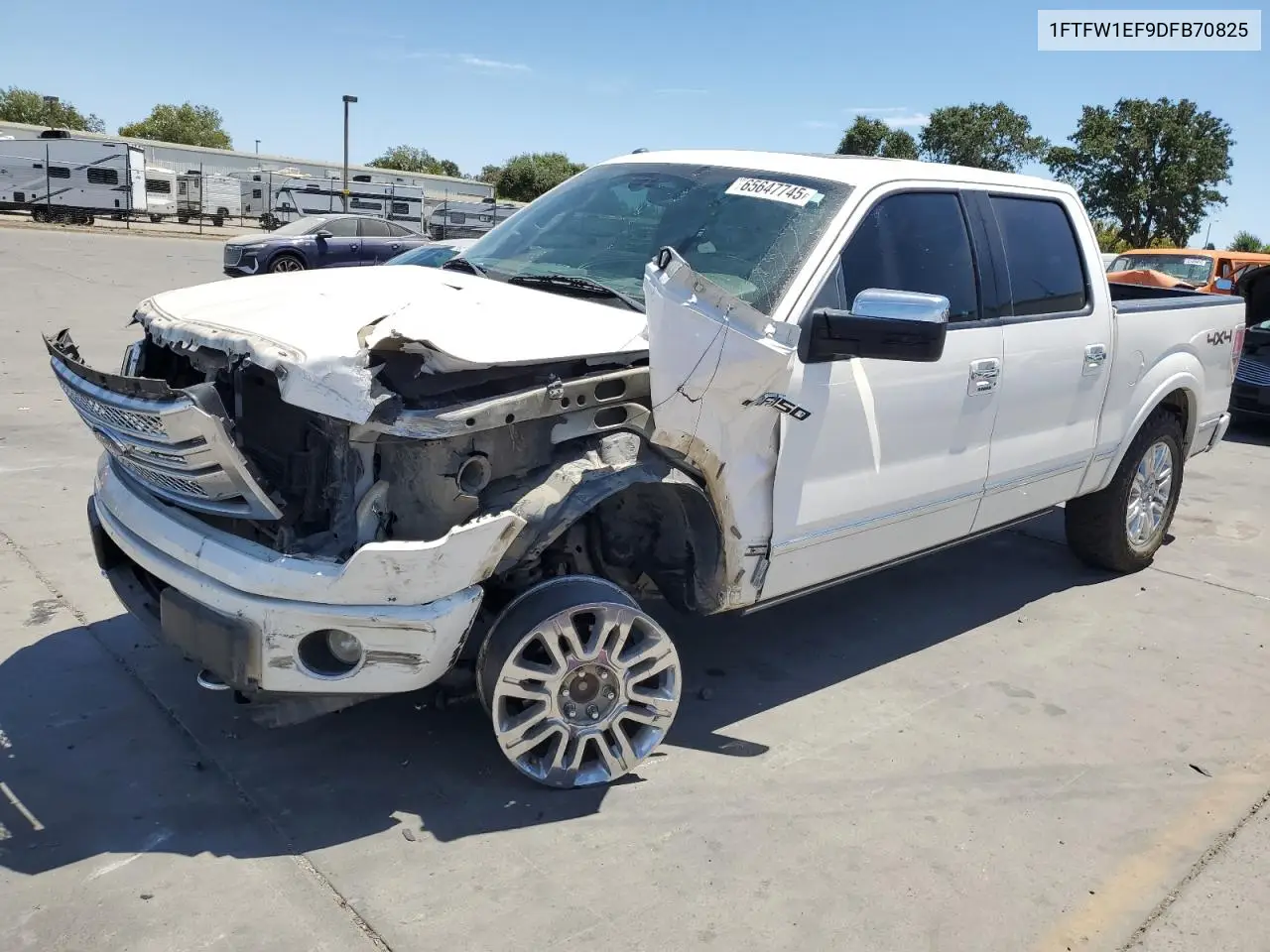 2013 Ford F150 Supercrew VIN: 1FTFW1EF9DFB70825 Lot: 65647745