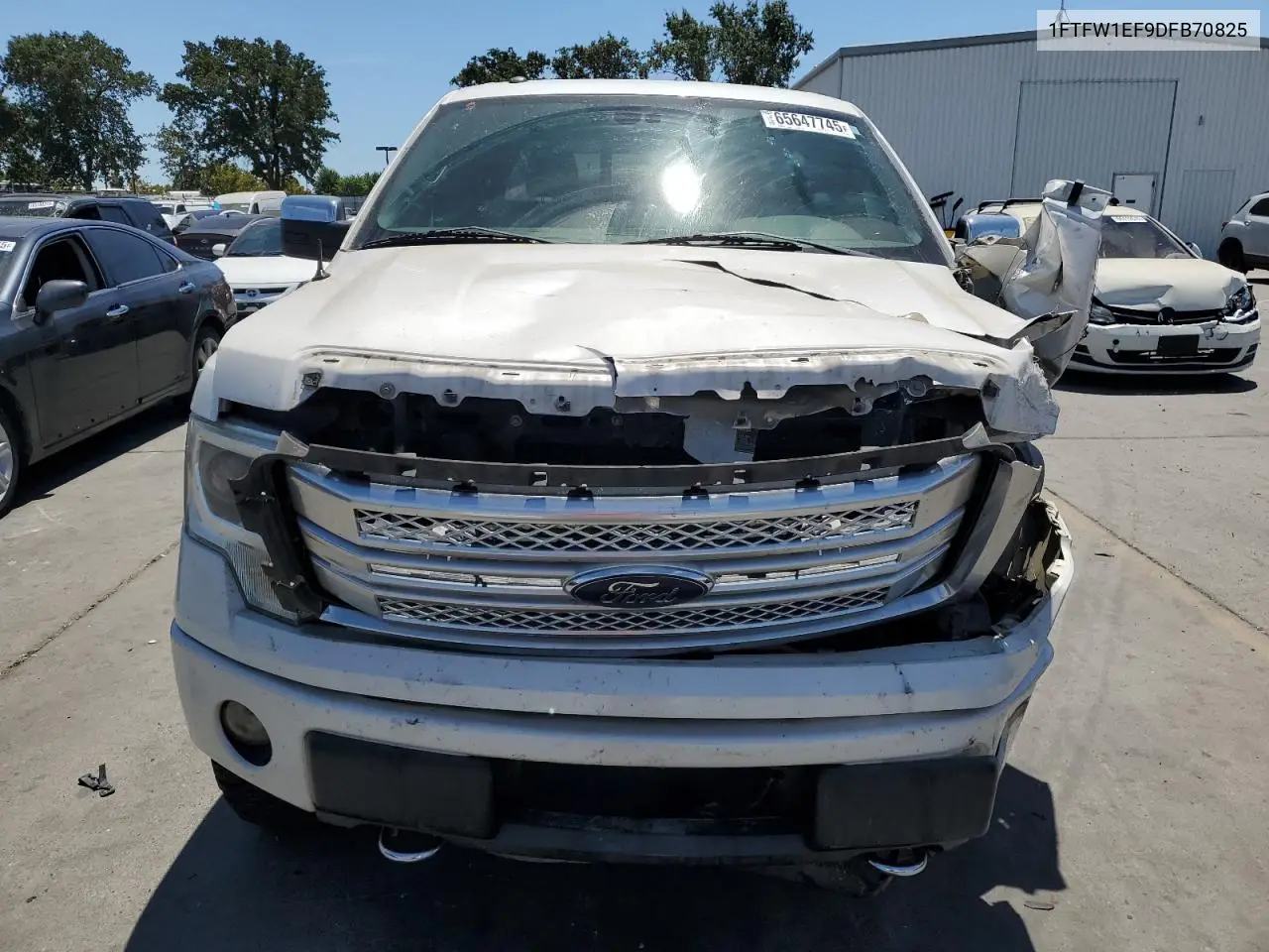 2013 Ford F150 Supercrew VIN: 1FTFW1EF9DFB70825 Lot: 65647745