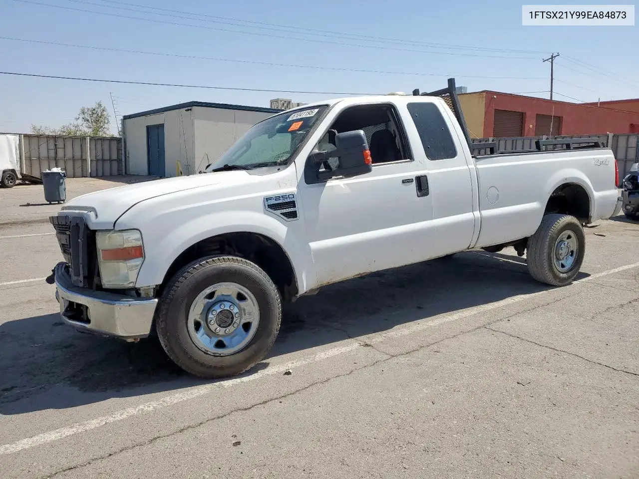 2009 Ford F250 Super Duty VIN: 1FTSX21Y99EA84873 Lot: 61041195