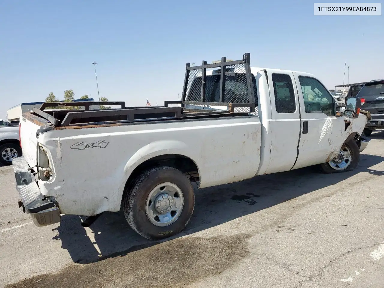 2009 Ford F250 Super Duty VIN: 1FTSX21Y99EA84873 Lot: 61041195