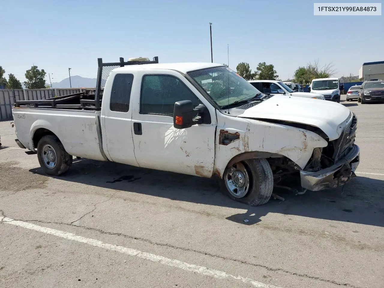 2009 Ford F250 Super Duty VIN: 1FTSX21Y99EA84873 Lot: 61041195