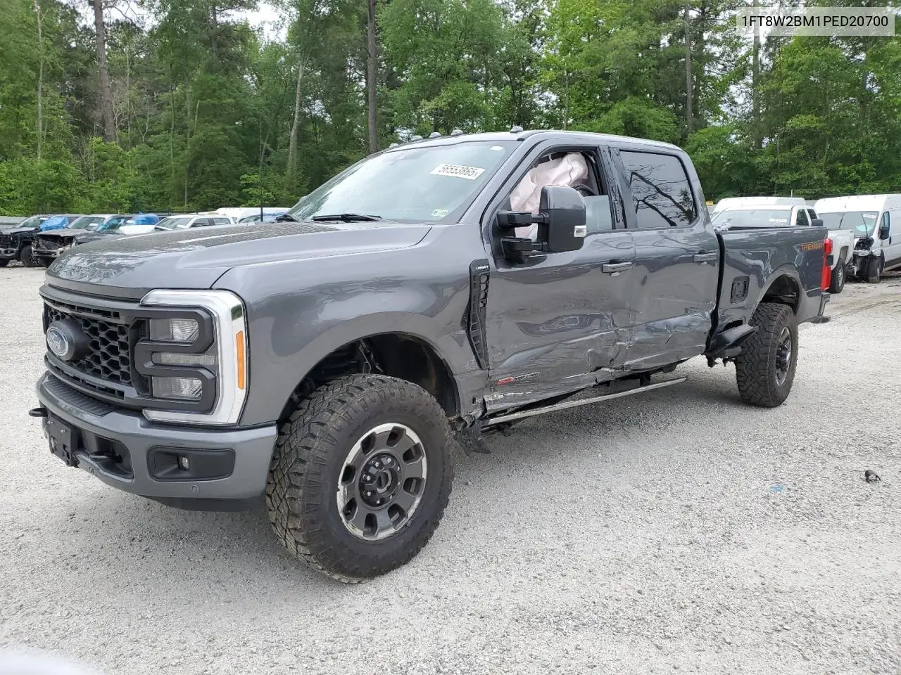 2023 Ford F250 Super Duty VIN: 1FT8W2BM1PED20700 Lot: 56553865