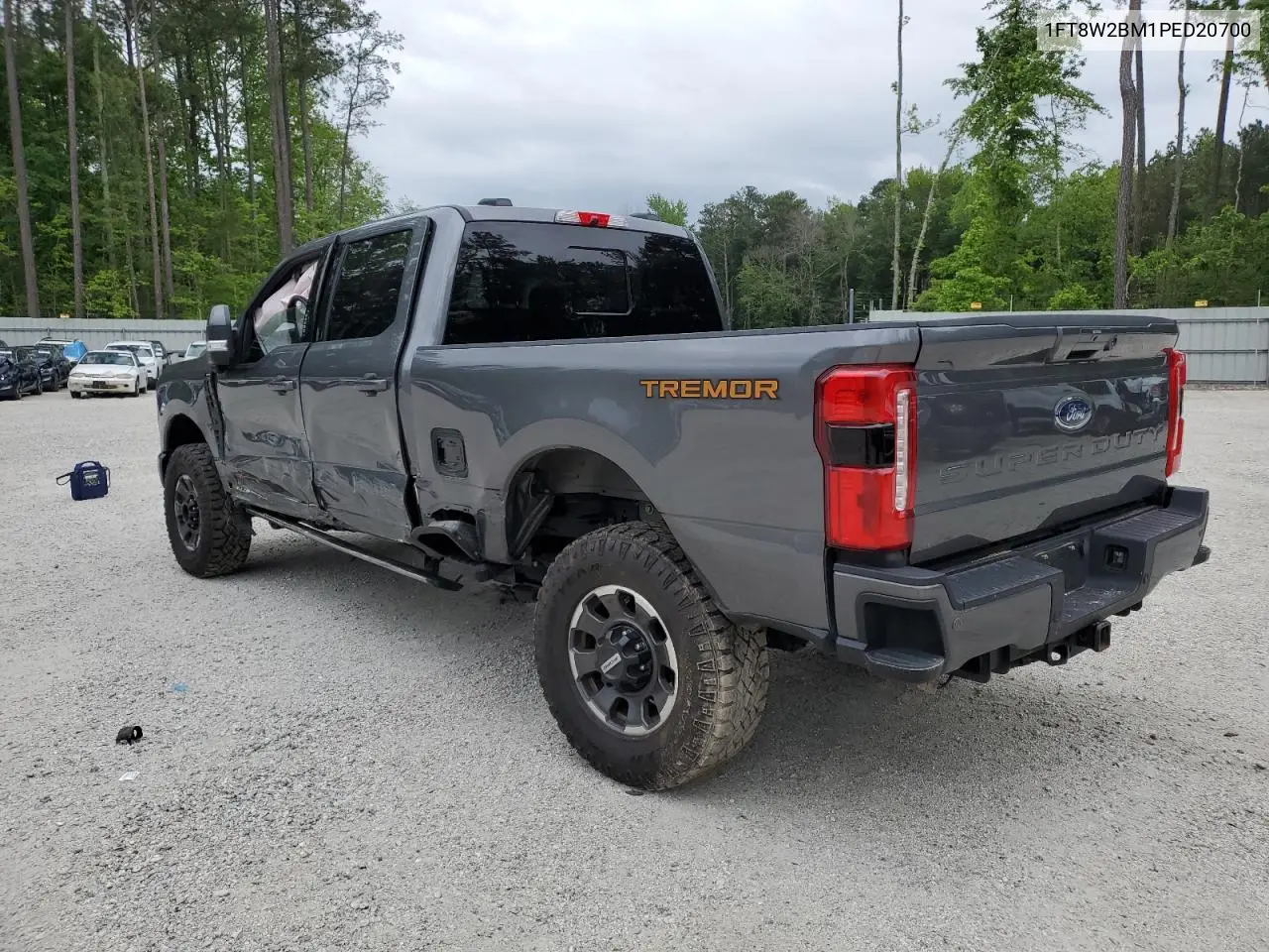 2023 Ford F250 Super Duty VIN: 1FT8W2BM1PED20700 Lot: 56553865
