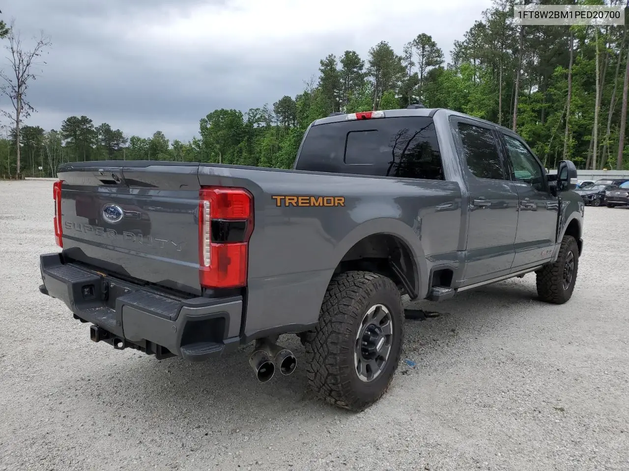 2023 Ford F250 Super Duty VIN: 1FT8W2BM1PED20700 Lot: 56553865